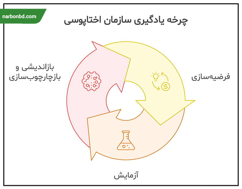 چرخه یادگیری سازمان اختاپوسی